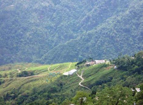 Central Nirvana Darjeeling  Esterno foto